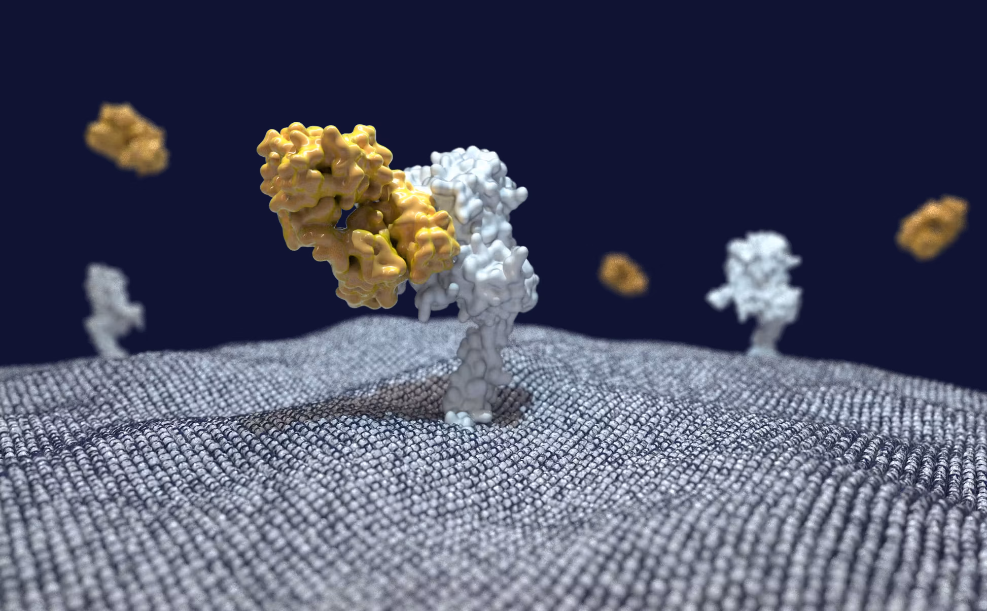 Protein Engineering